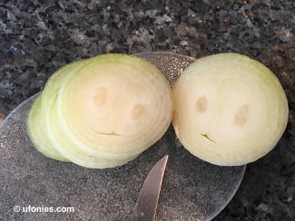 ufonies collection of faces in strange places humor gallery humorous photography Pareidolia is a psychological phenomenon that allows people to see faces or figures in random objects faces in an onion faces in geggies