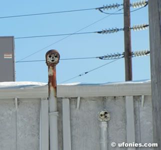 faces in strange places from where i stand parking lot spies